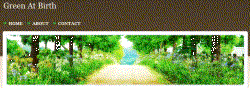 Green At Birth, Vicki's website 